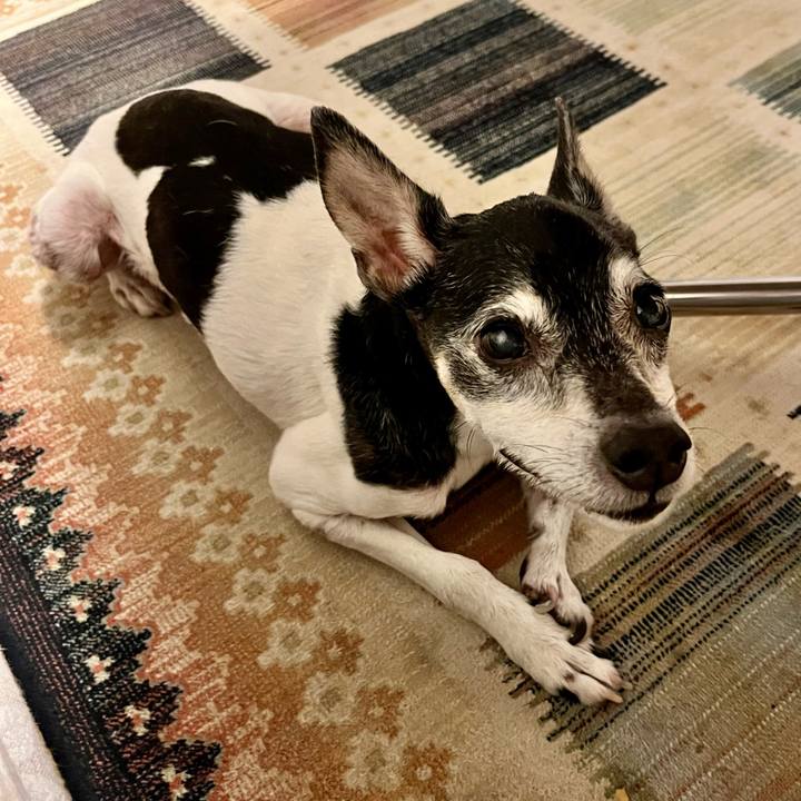 85944bec 17e8 4136 bf28 310d68c28193 1657369765877