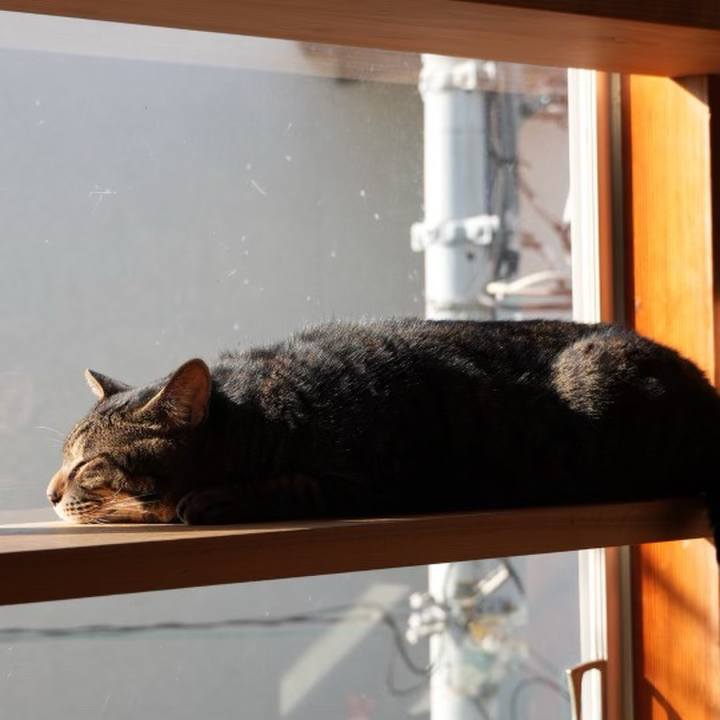 859461c0 4eec 4f17 af55 9f2e606e4ba7 1731502512911