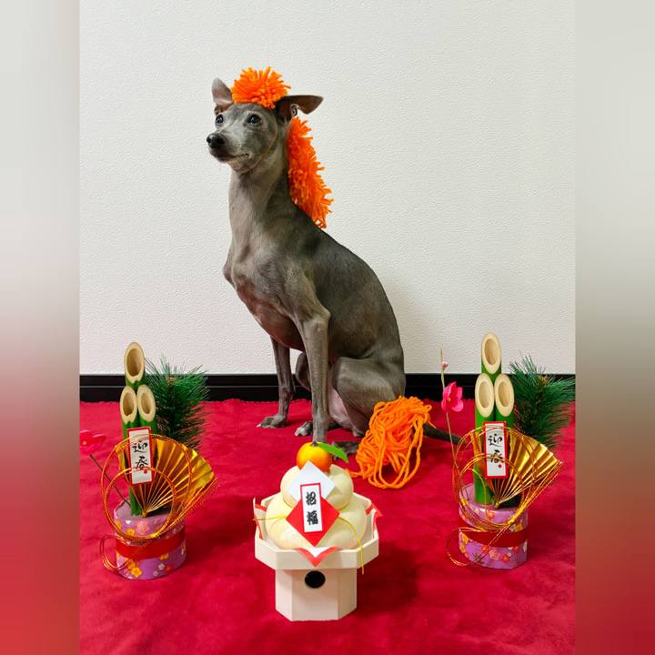 85946e55 5ce8 45d7 8239 0bd7aba9ac1e 1767233573744