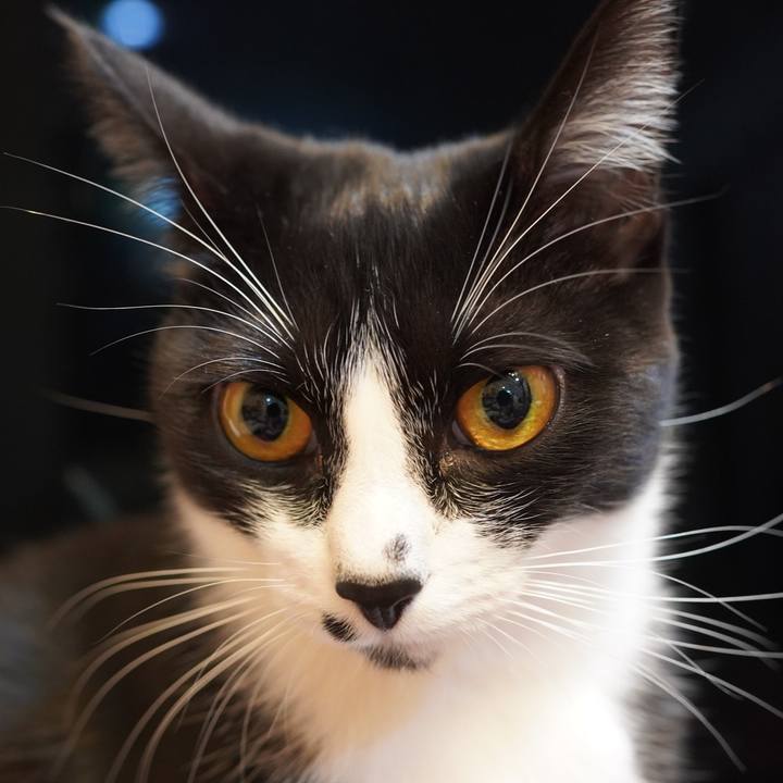 85947458 1946 42bf 88a0 20f46502f837 1608180715018