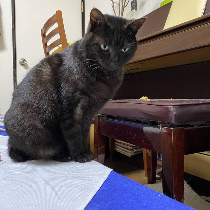 8594a4b2 64fe 423e b81e 2aba7d799360 1582012811942