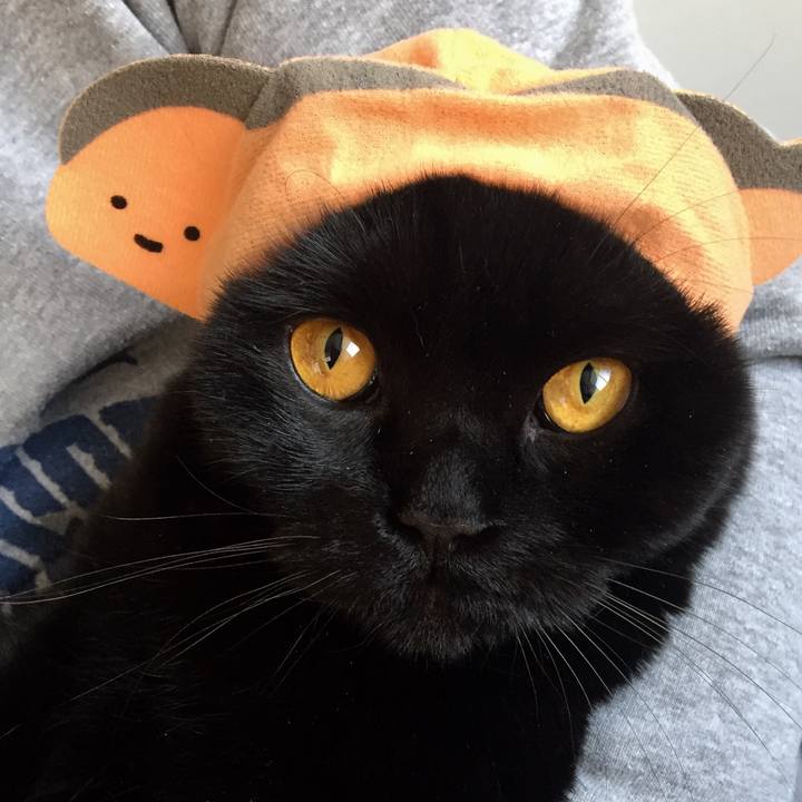 8594cb70 4ec1 4f81 8880 b26eddec6649 1522452371761