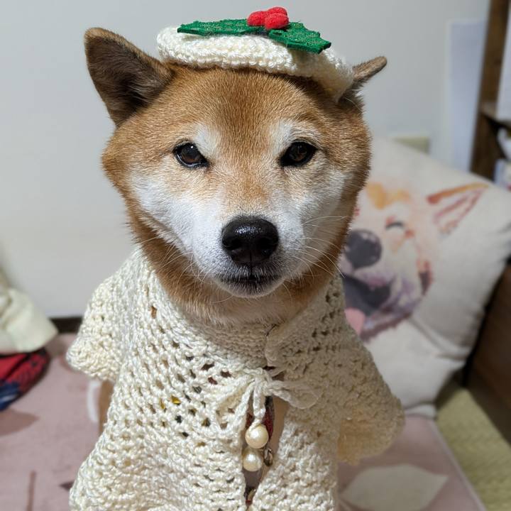 8594d934 6524 4b5a 8da9 95f94351511b 1765580683540