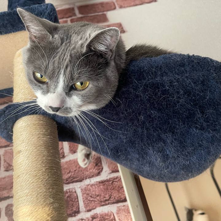 85955dfd c7c9 45a8 b920 fe2c212bf6a4 1671144751614