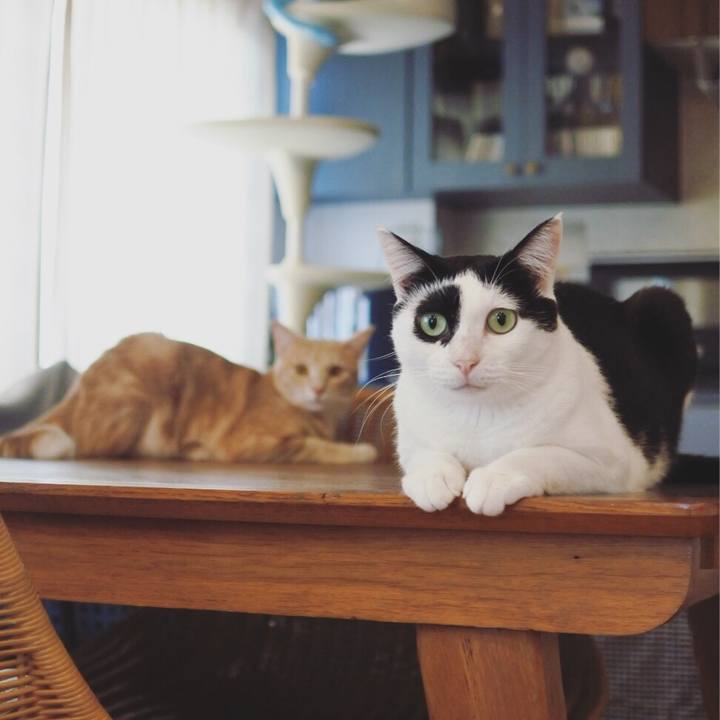 85956136 ba8f 4dea b0e0 8312fe513142 1568541246946