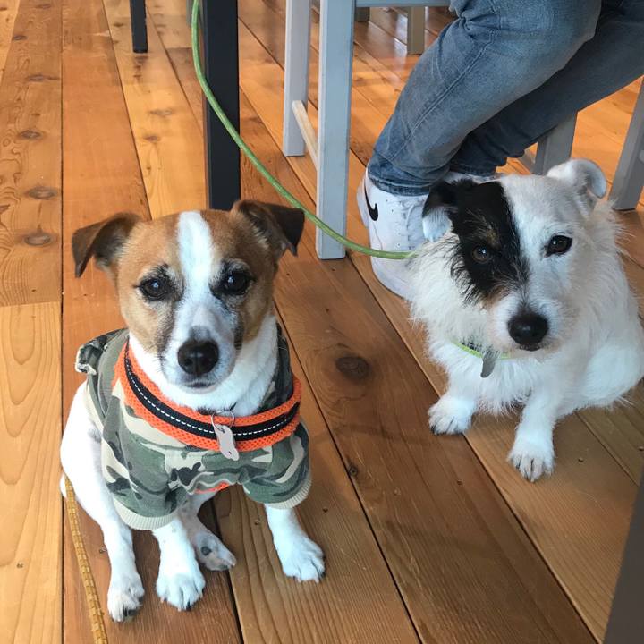 85957619 74e2 4b5e 9a79 afb6feec6bba 1526194670482