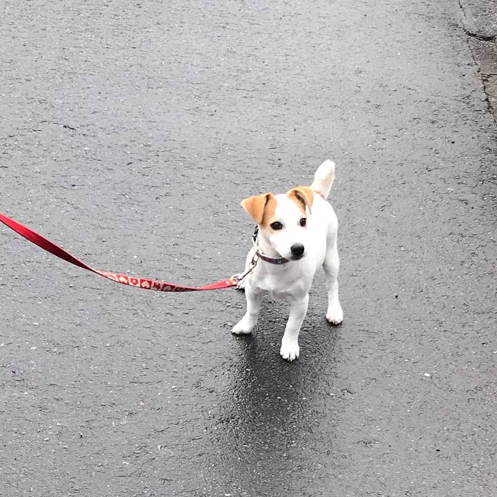 8595847a dd11 4084 8c2b 2cb98c737770 1548919779848