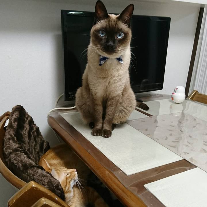 8595a558 c3c8 4528 aba4 d556ae794ec3 1512830903226