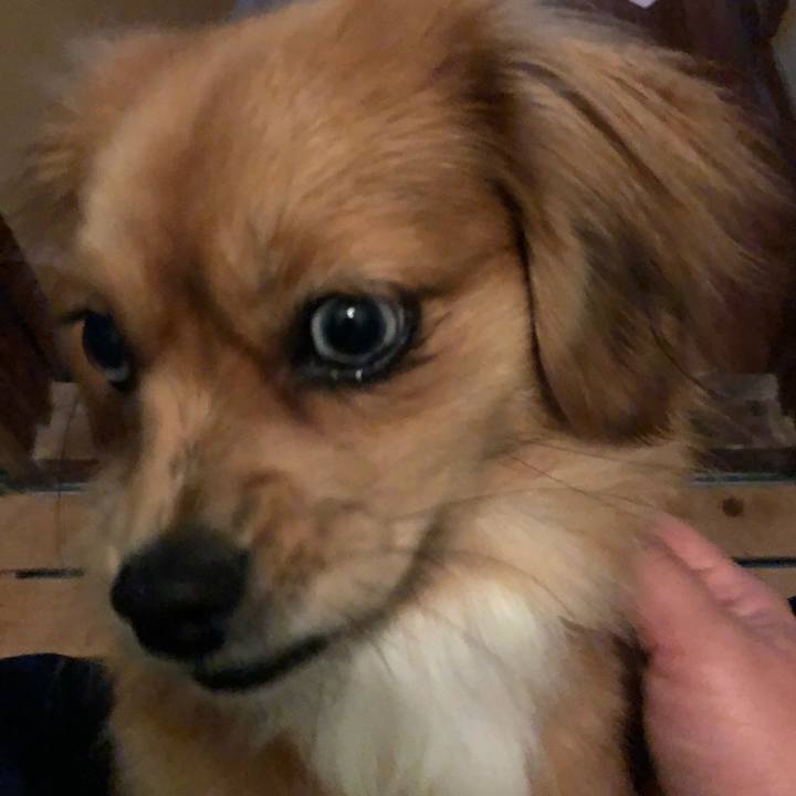 8595bec9 5583 4b0a 9aef 7ad497576b65 1514324230807