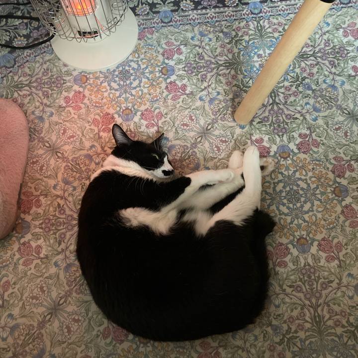 859626cb d612 413f ba35 a9e8d0da6b78 1764454355446