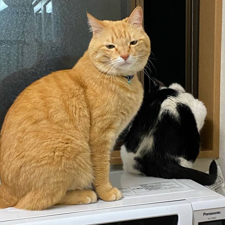 85965a91 1f3e 4210 9fda ee06260604e5 1618573119860