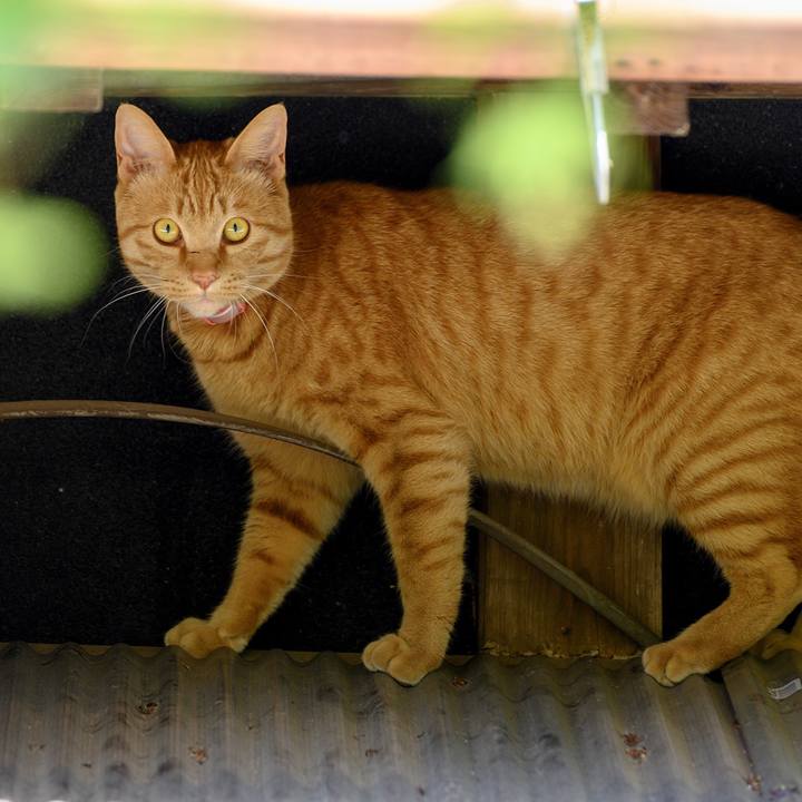 859666f0 1212 4033 b048 81f6e1bb4f79 1557010713080