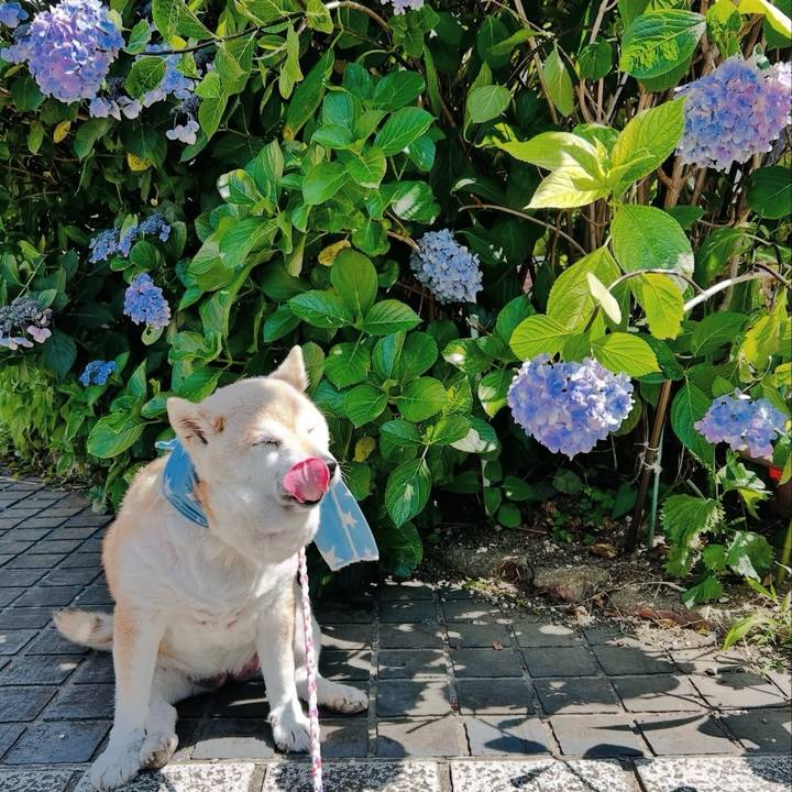 85966923 1b76 43c5 b823 e1820fa2f5f6 1758605713158