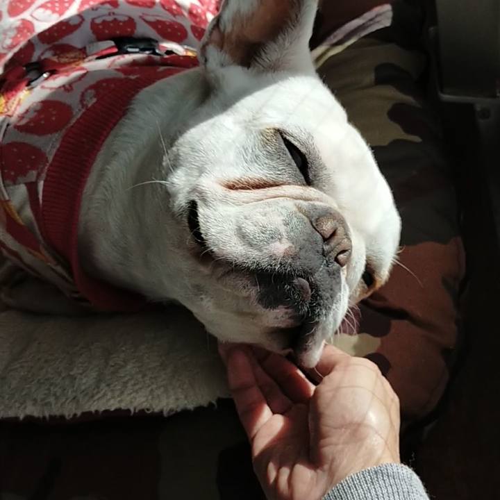 85966bee 172f 4388 bfbc 719c83d50f44 1641522244588