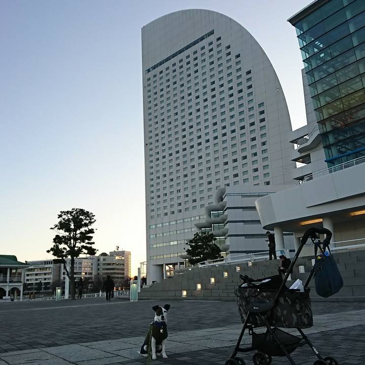 85967135 f830 420a af69 e71f4835e396 1515223333116