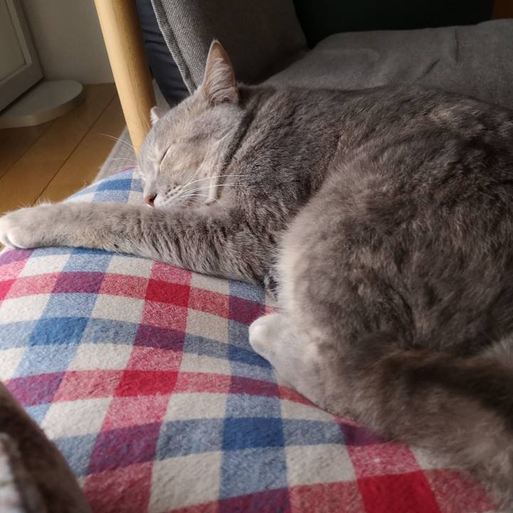 85968c3c 2c1a 466b a2e9 e802a8d914f2 1570323850015