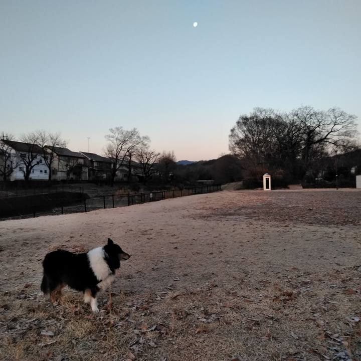 8596d86a b727 46a0 88e9 7398d4892142 1548425495346