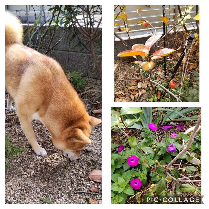 8596e7bb c24a 4a1a 9939 fd88ac6a9465 1669085591830