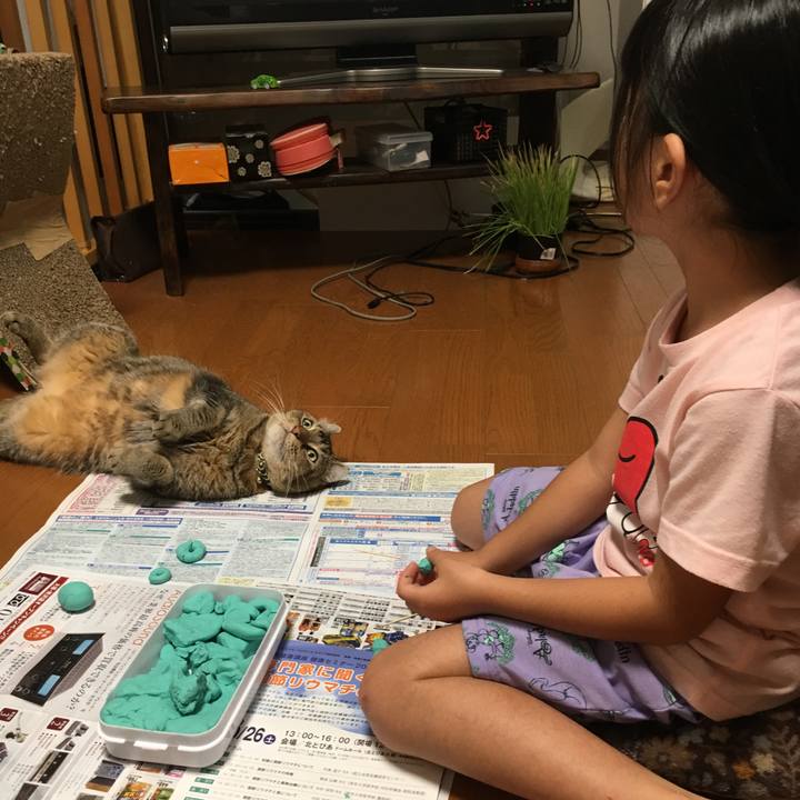 8596fb51 976d 49b7 8bfe 1669b9dadf5d 1583813827129