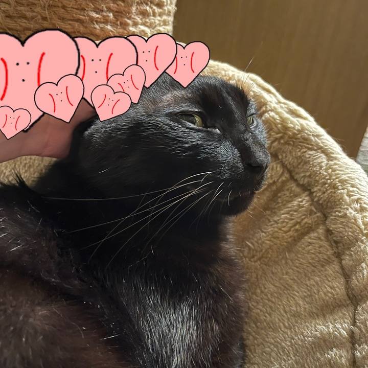 85973fb9 78bd 4b4e 9b2e a873f9a5d177 1687870122799