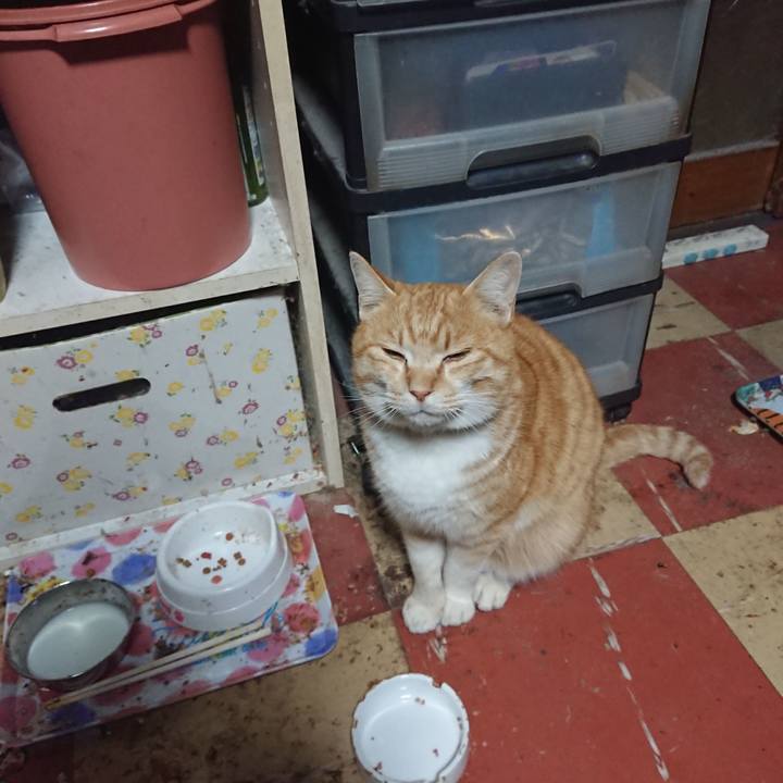 85974ada 9aac 42db 96ad 3b0988cbae30 1582621565912