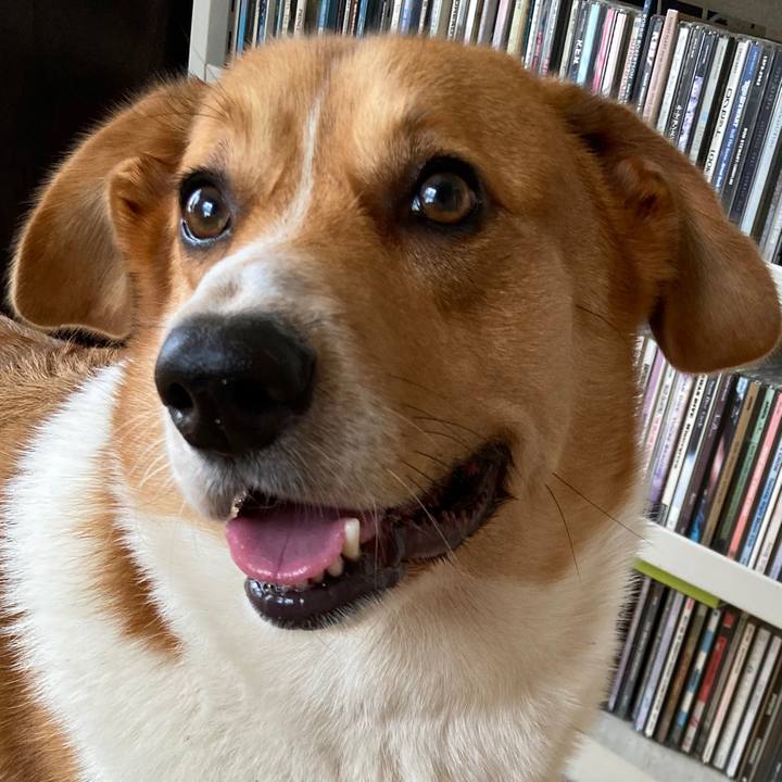 85975b85 8a4e 4e76 b8cc dd42d35aeb17 1661911984225