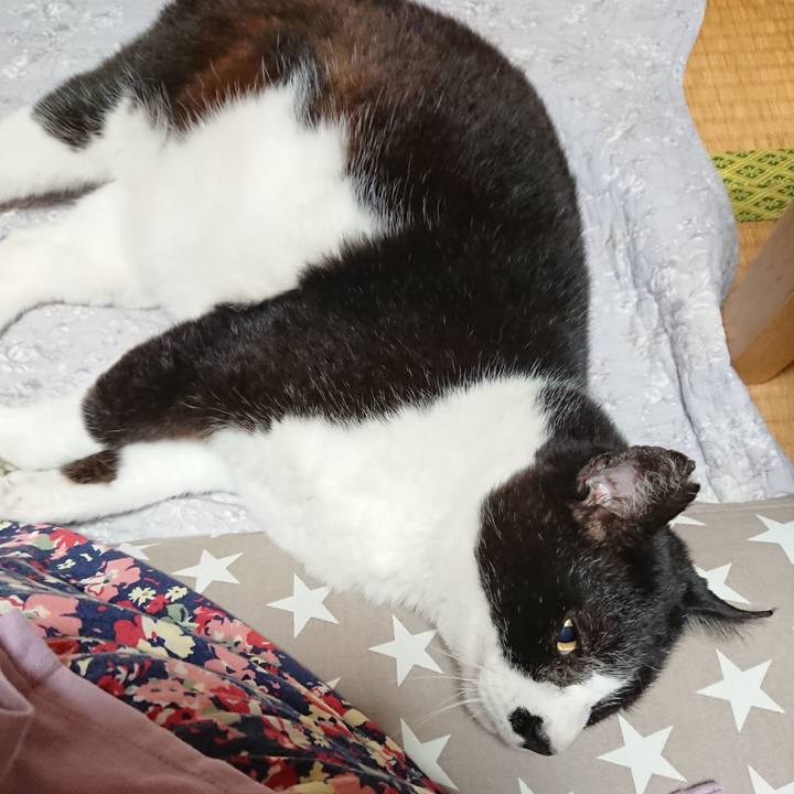 85978552 5503 45f0 b6c9 37f36181c7cd 1620994859918