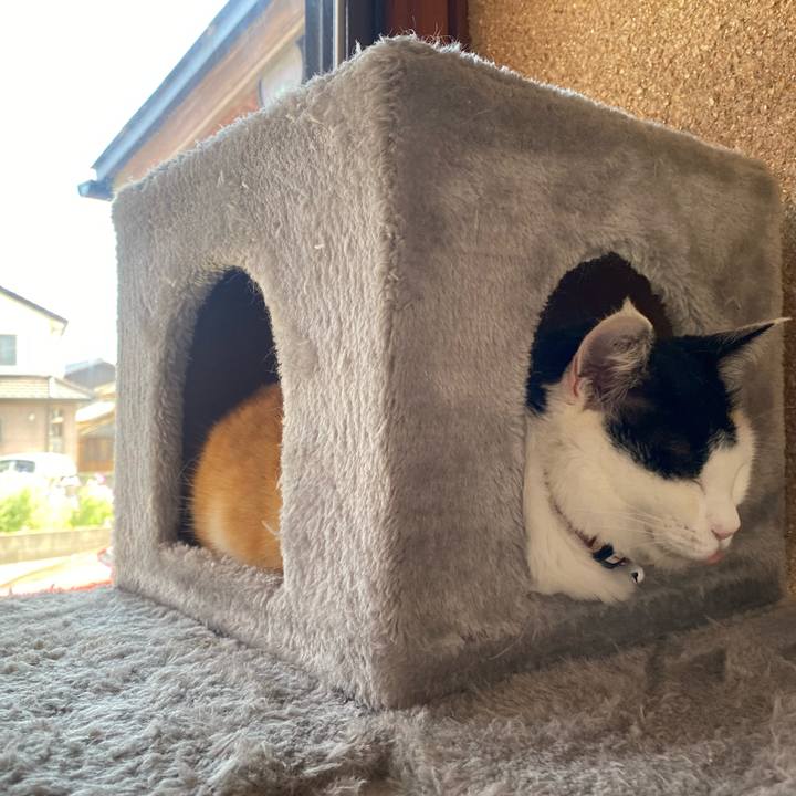 85978dc7 d426 4a41 b76f e0a6eed485a0 1652511185315