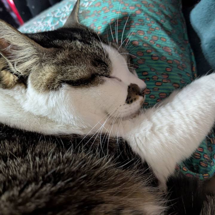 8597d70f b00a 4d64 9a8c c60cc48d49c9 1771126645666