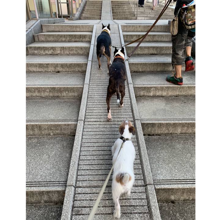 85980bc0 d9f1 45e1 afeb 7a188b6ffa6b 1566818844282