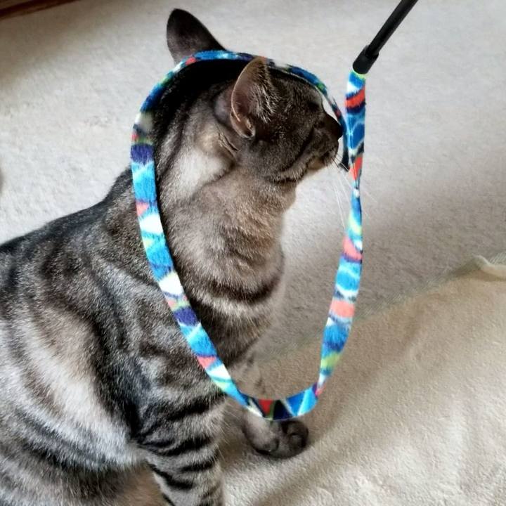 85981a92 7756 4cb8 8177 3381ebddffec 1691241542319