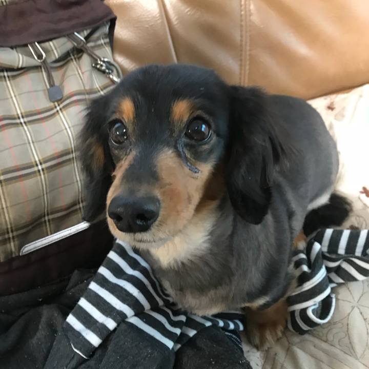 859829ca 2ae1 4e68 8dbc ffc682d8a753 1517522371410