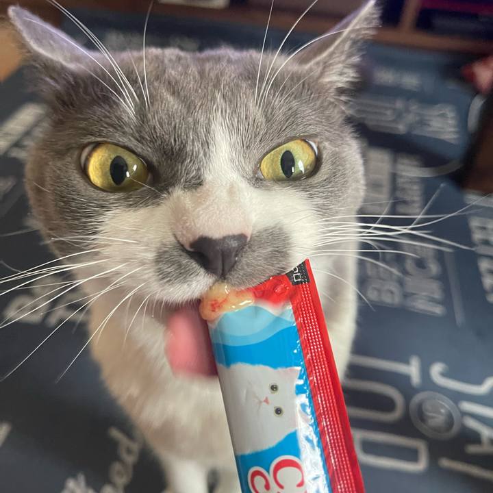 859835f4 9df6 4fc6 937f a5e654d4fa54 1693635254576