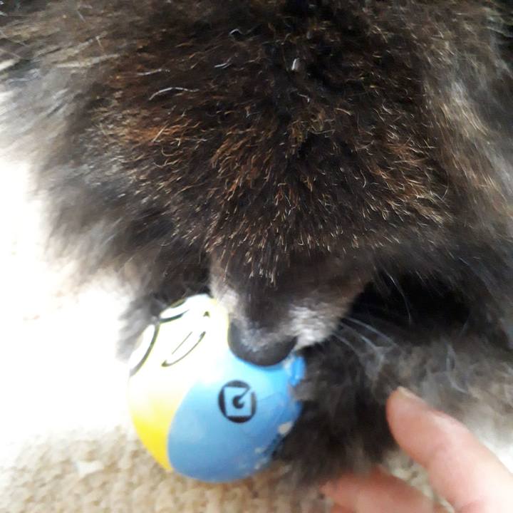 85984984 bfc3 4ebd 8129 15132568d13d 1517605432674