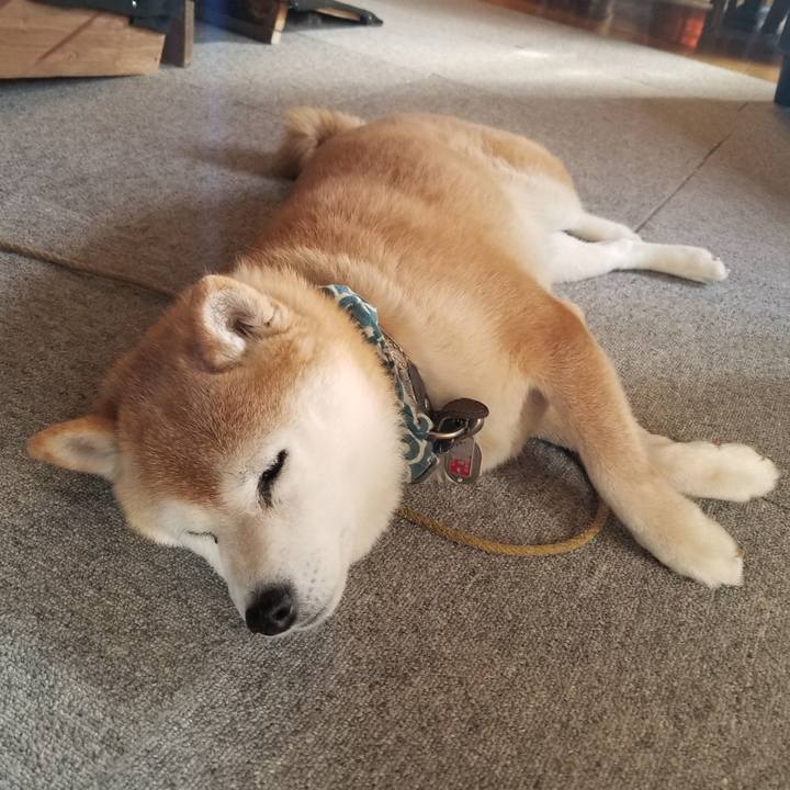 85988c8a ead1 4dfd a61e 84902e96ef72 1708213866564