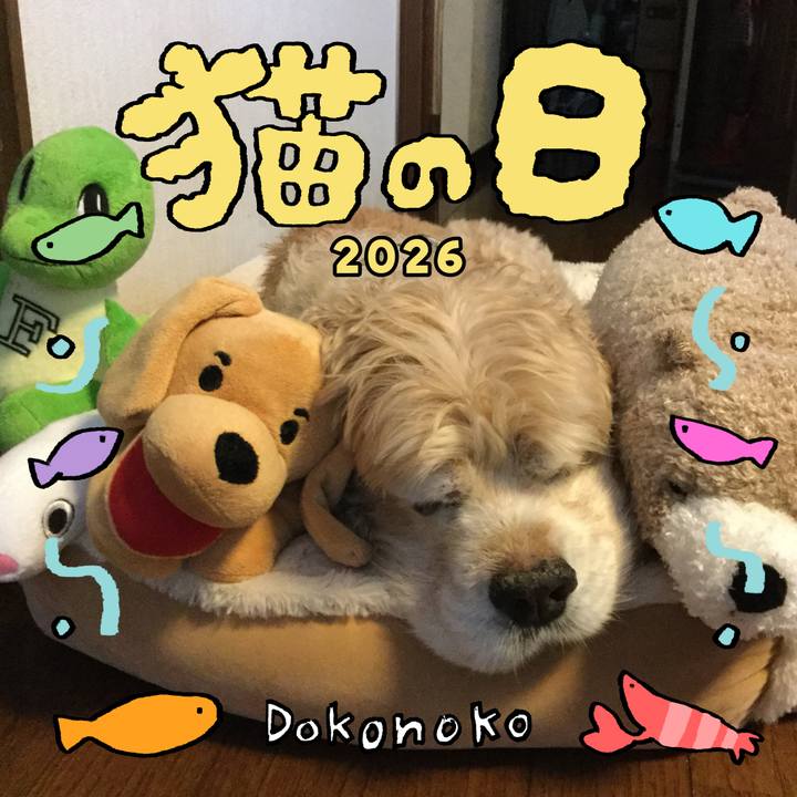 85989b7c f8f5 4362 802d bc24278b37b2 1771713652227