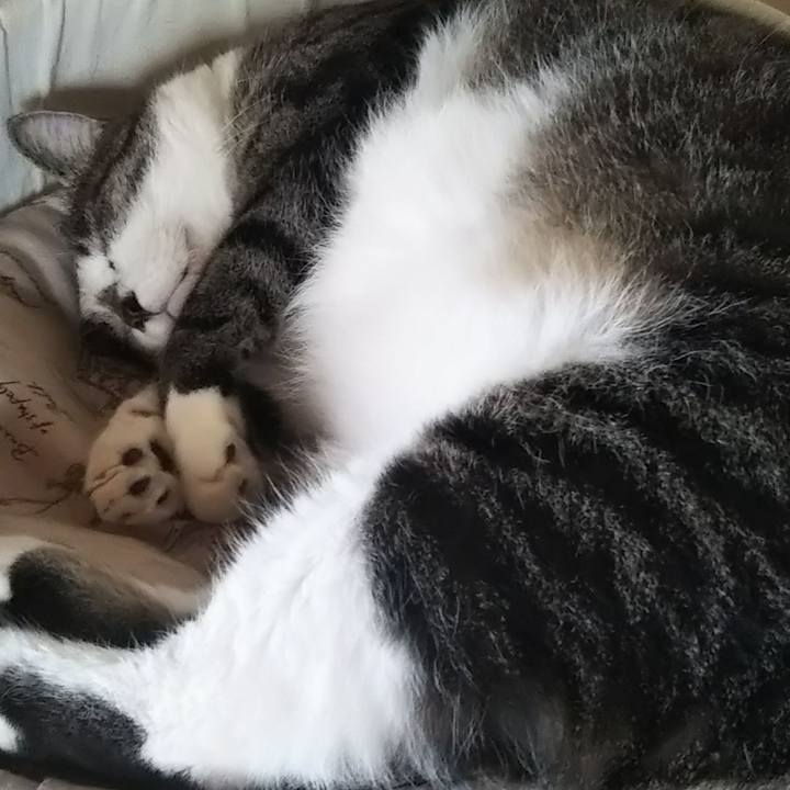 8598a08b edb1 4e8f a1cb 55961254dd72 1608909248298