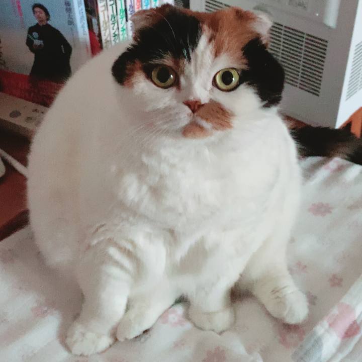 8598b6f5 47bd 4c71 bede 734981ce88ce 1588212472250