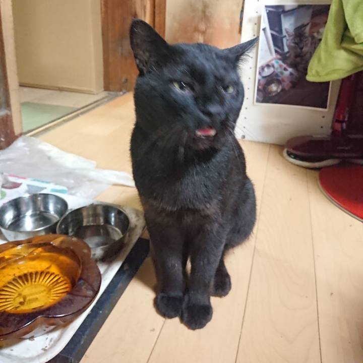 8598cb2f e00a 4c22 bb20 8b7ff9ab4e2a 1628163882817