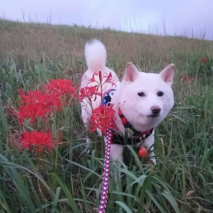 8598dff2 7fdd 45f4 8c60 03280851bf91 1569750089092