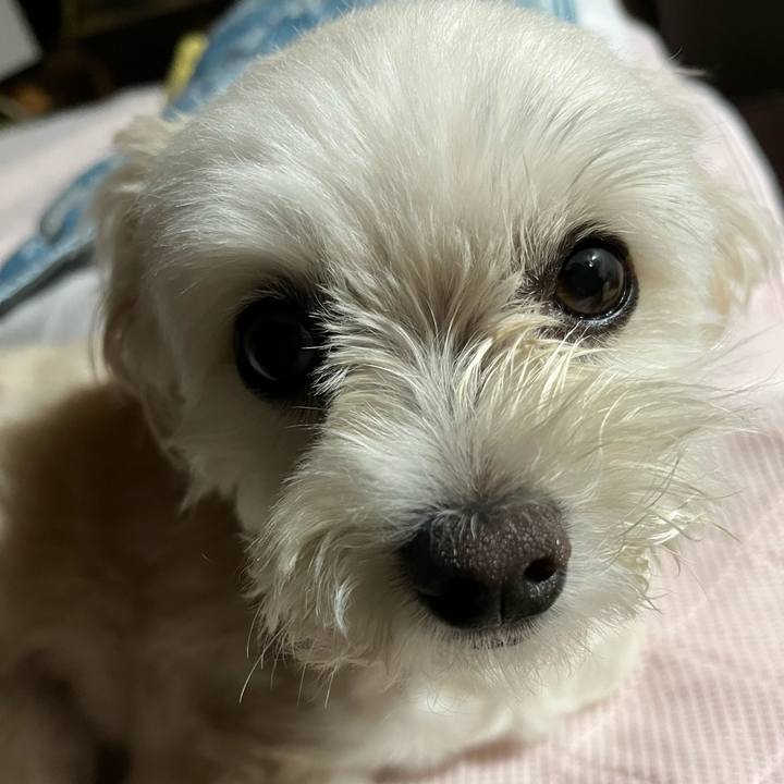 8598ecbb 1b65 4687 bf37 c0ab0d30eede 1657632286487