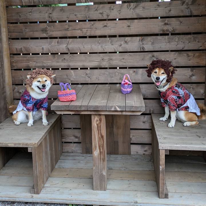 8598f280 c95c 456d 9e22 20cf07f8c8d7 1720683787472