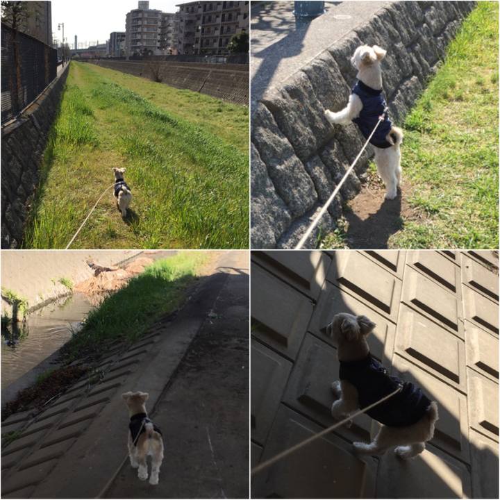 8598f9f5 31f1 4244 a7a8 d9b573ed447c 1550827990291