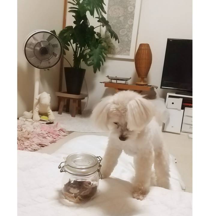 85991a72 5a2c 4036 9d57 75e3ee2e1752 1653829762346