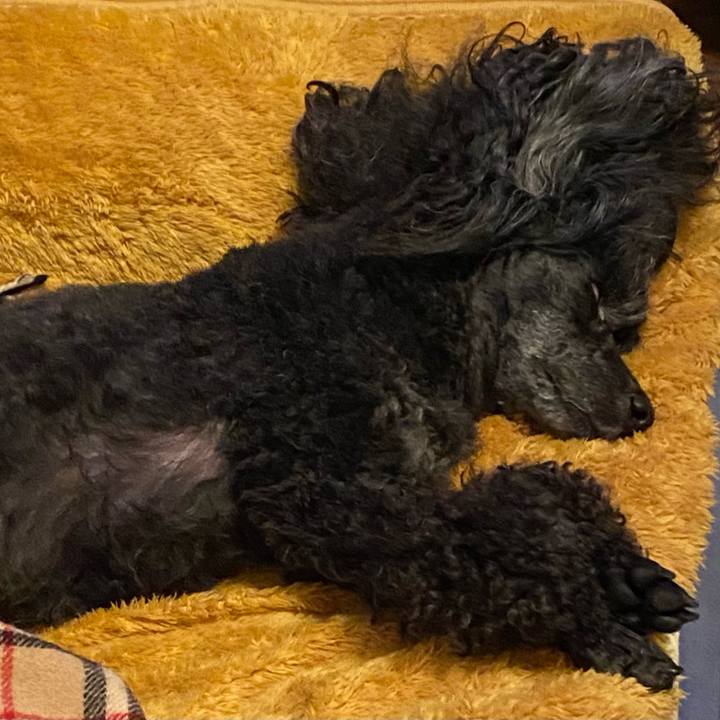 859956ce e6d3 41da baf0 167471226e08 1681595542157