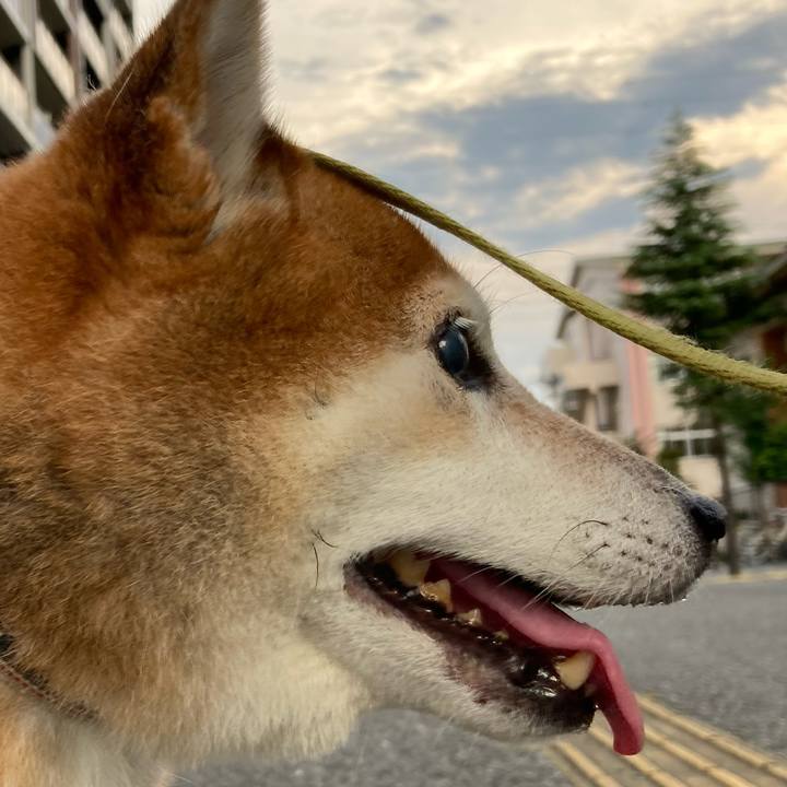 859963b5 99a7 44c4 9844 93418836003f 1694767520278