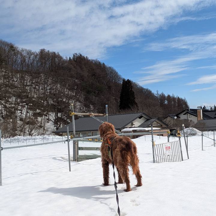 8599715f 4949 43b9 9b9e 1daae9119659 1772092134134