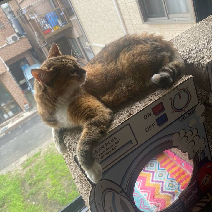 85998403 9d8b 49a5 948d 44257ef4cb46 1720070196329