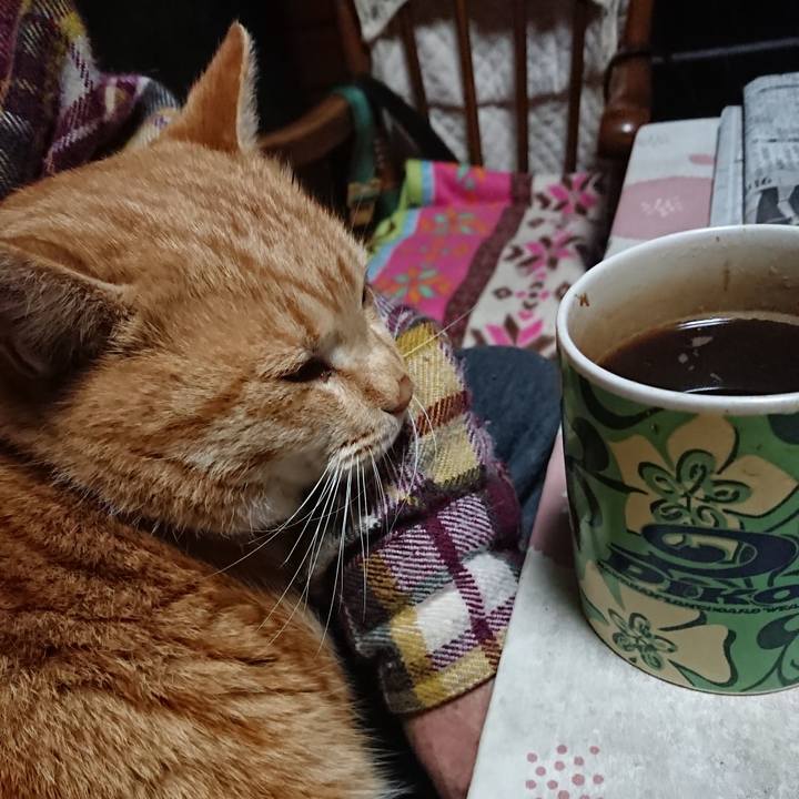 8599a82a f49d 401a 92d6 9dd3a848a617 1578859559076