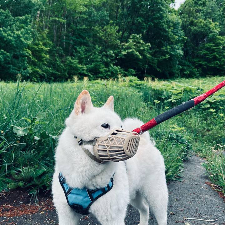 8599b479 4176 4438 89a0 e5493289e5d4 1748206539346